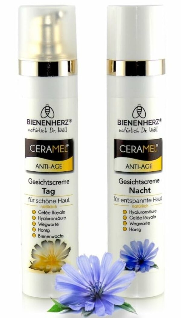 Geschenk Set Gesichtspflege Anti-Age | Tag + Nacht | 2x 50ml | spendet Feuchtigkeit- strafft Falten – regeneriert Gesichtshaut | fertig verpackt