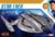 Star Trek – USS Shenzhou NCC 1227 – Snap Kit